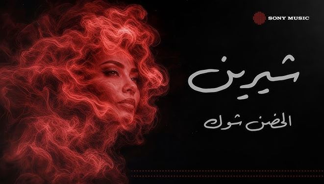 شيرين عبد الوهاب.JPG الحضن شوك